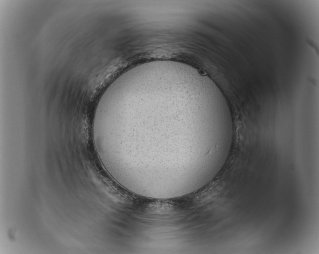 X0000103430354200809261736