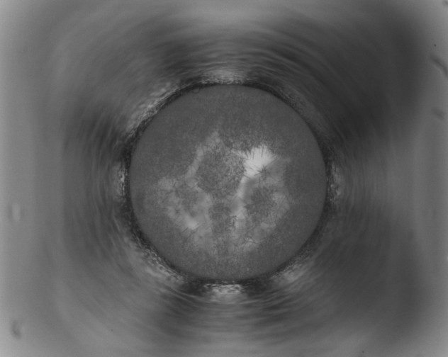 X0000103430355200809261736