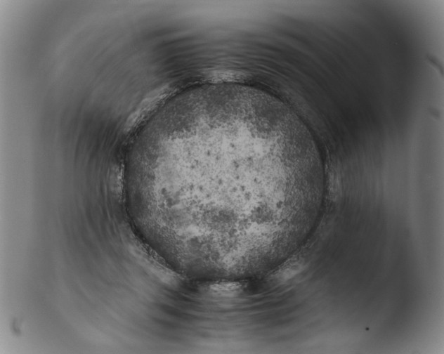 X0000103430357200809261736