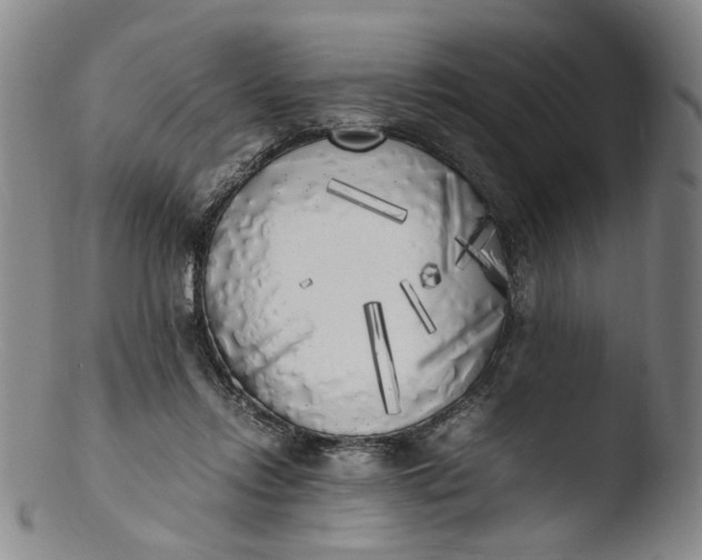 X0000103430358200809261736