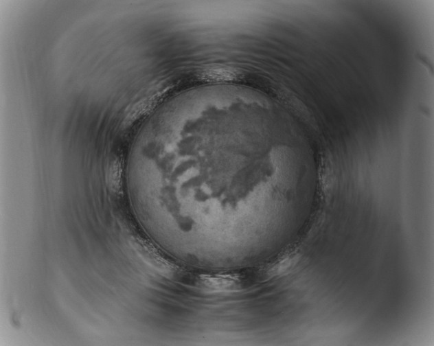 X0000103430359200809261736