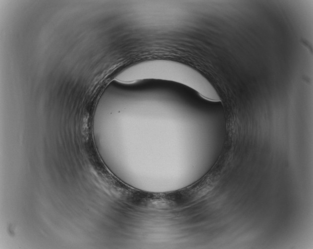 X0000103430360200809261736