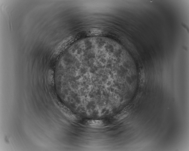 X0000103430361200809261736