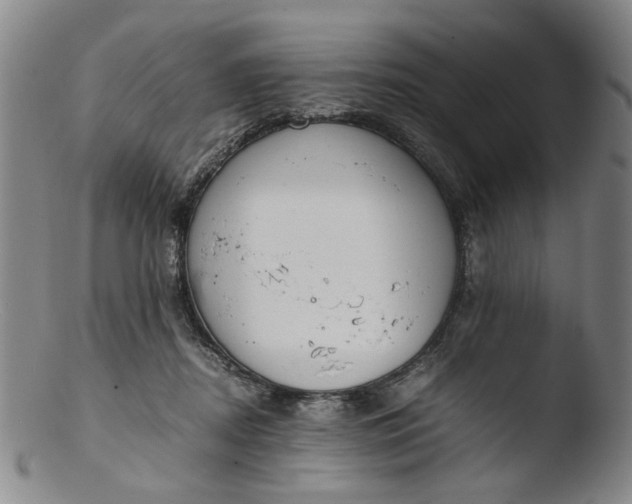 X0000103430362200809261736