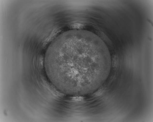 X0000103430363200809261736