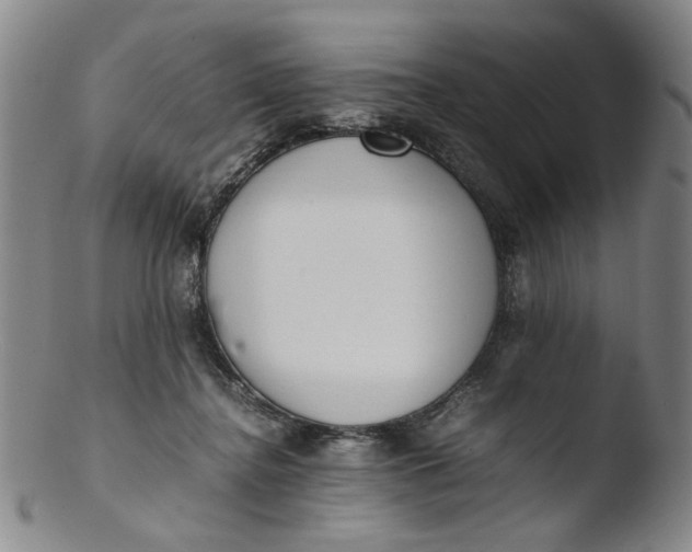 X0000103430364200809261736