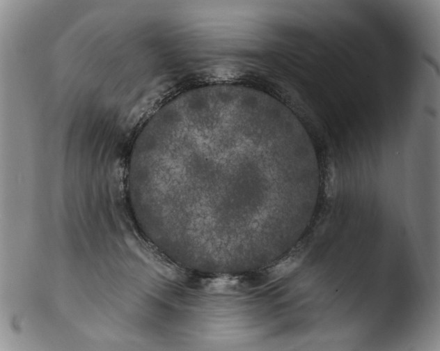 X0000103430366200809261736