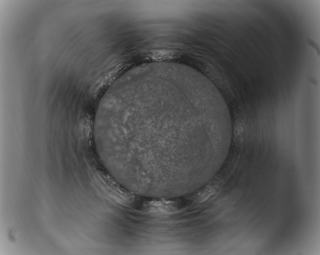 X0000103430367200809261736