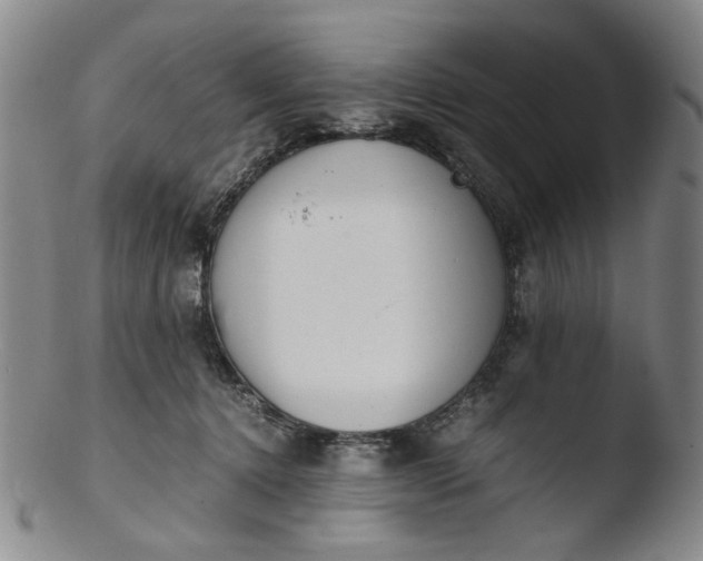 X0000103430368200809261736