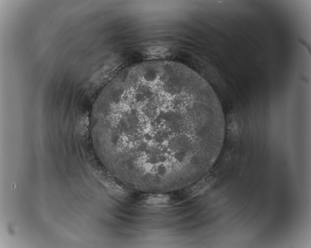 X0000103430369200809261736