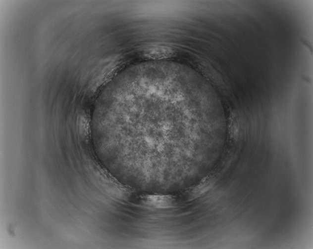 X0000103430371200809261736