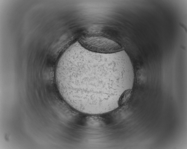 X0000103430372200809261736