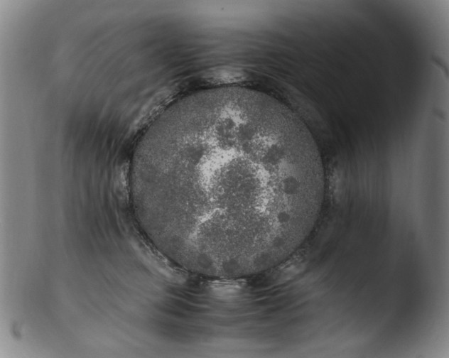 X0000103430373200809261736