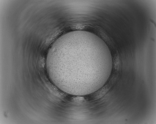 X0000103430374200809261736