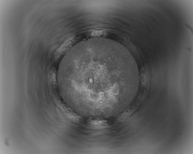 X0000103430375200809261736