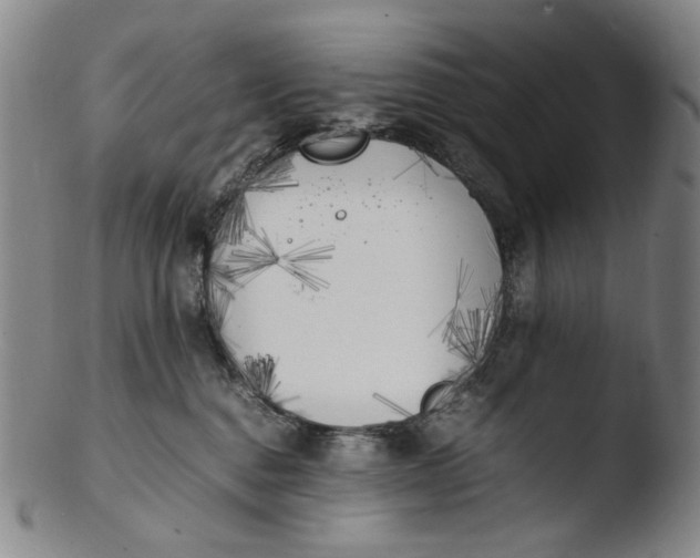 X0000103430376200809261736