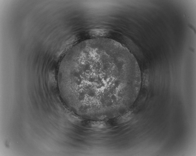 X0000103430377200809261736