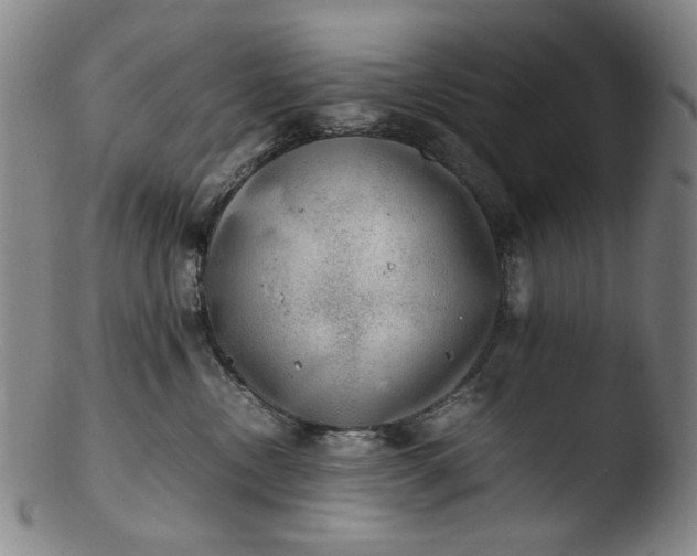 X0000103430378200809261736