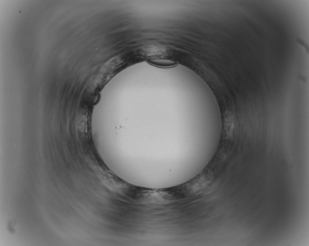 X0000103430379200809261736