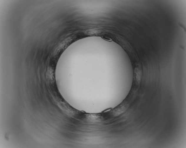 X0000103430380200809261736