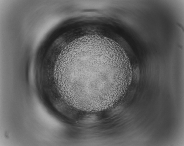 X0000103430381200809261736