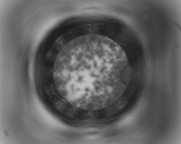 X0000103430383200809261736