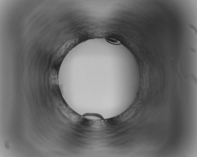 X0000103430384200809261736