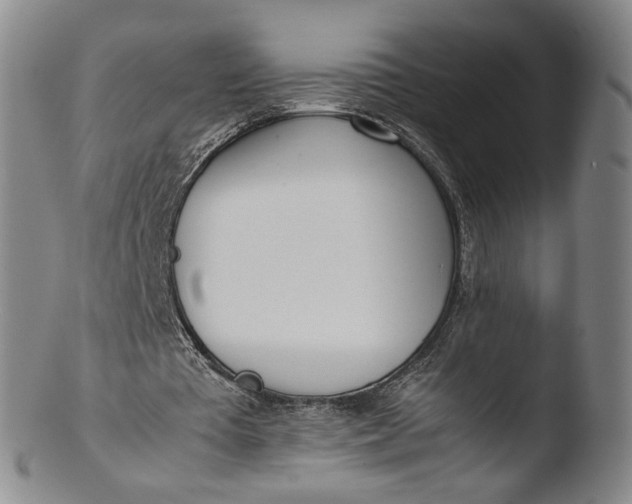 X0000103430385200809261736