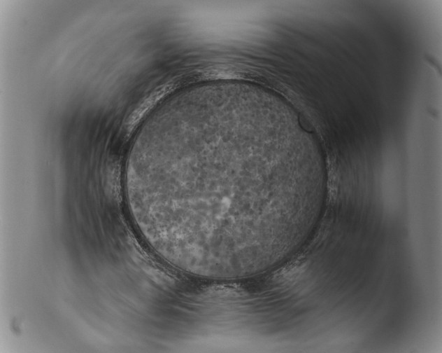 X0000103430386200809261736