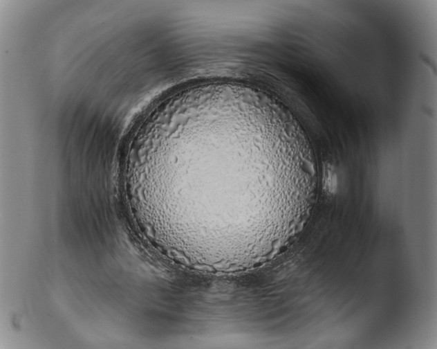 X0000103430388200809261736