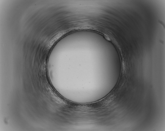 X0000103430389200809261736