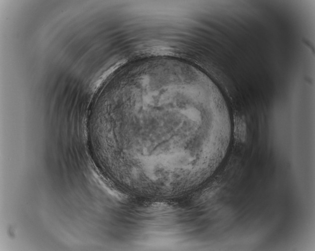 X0000103430390200809261736