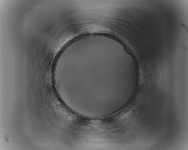 X0000103430391200809261736