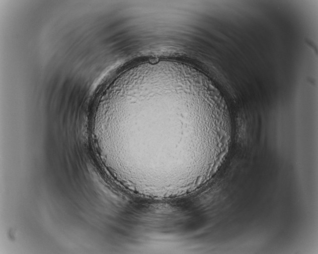 X0000103430392200809261736