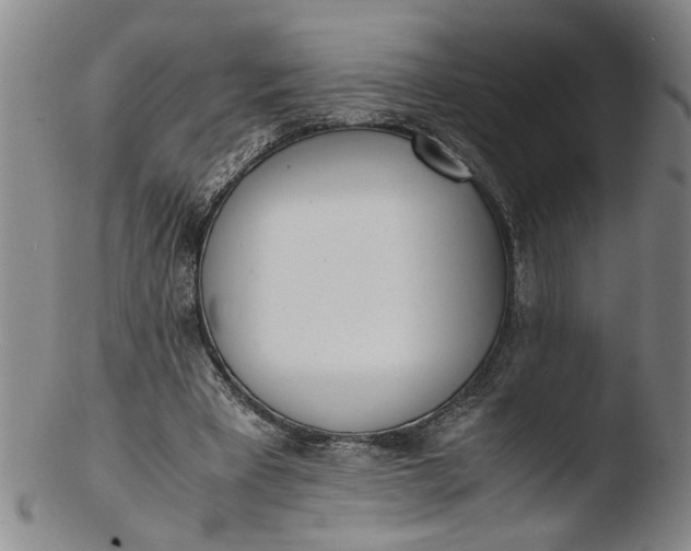 X0000103430393200809261735