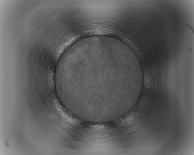 X0000103430394200809261735