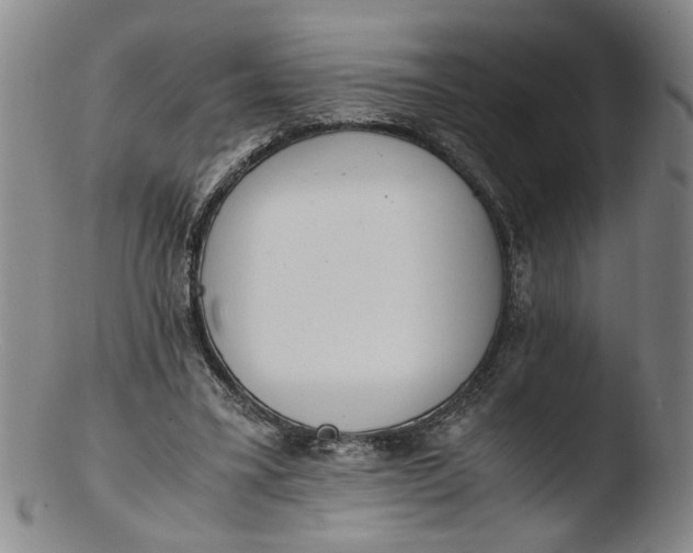 X0000103430395200809261735