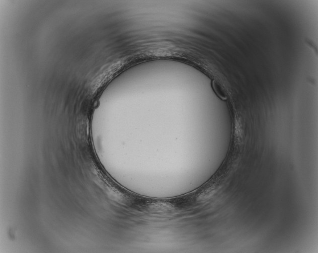 X0000103430397200809261735