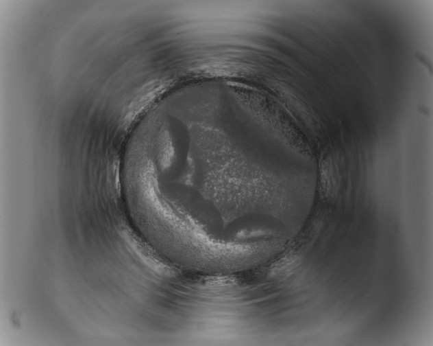 X0000103430398200809261735