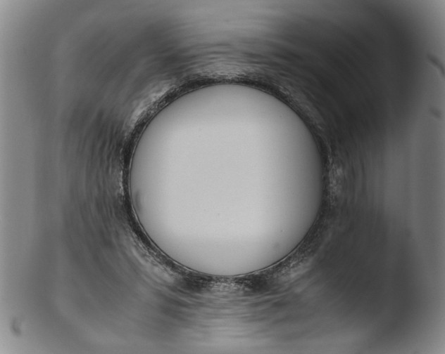 X0000103430399200809261735