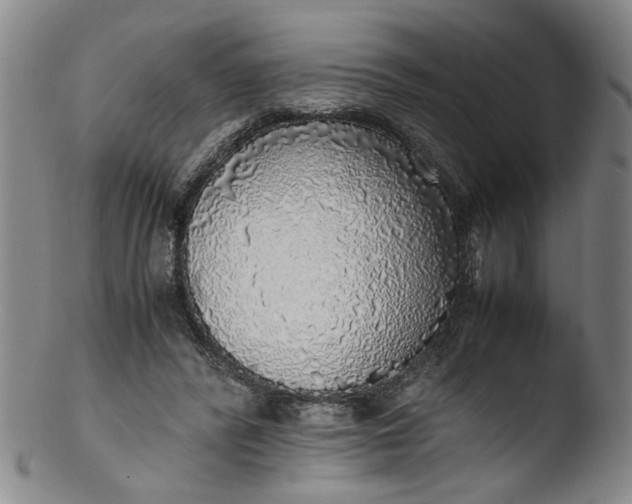 X0000103430400200809261735