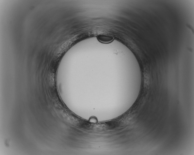 X0000103430401200809261735