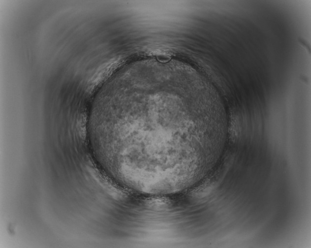 X0000103430402200809261735