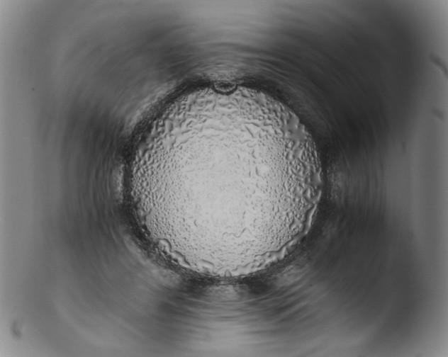 X0000103430404200809261735