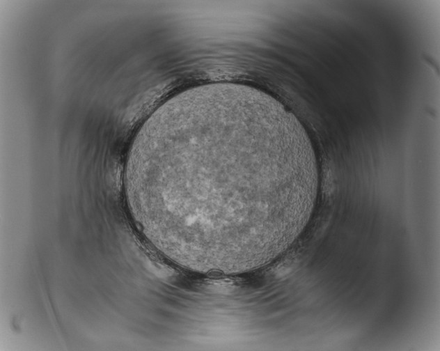 X0000103430405200809261735