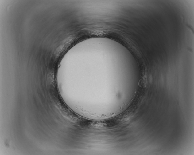 X0000103430407200809261735