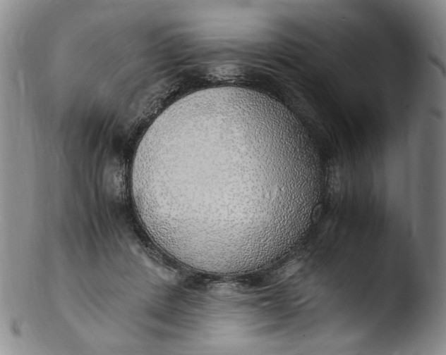 X0000103430408200809261735