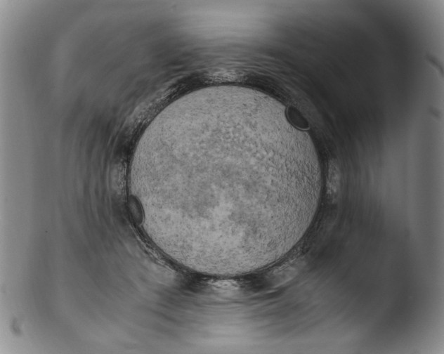 X0000103430409200809261735