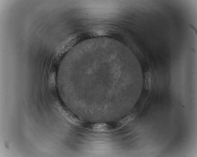 X0000103430410200809261735