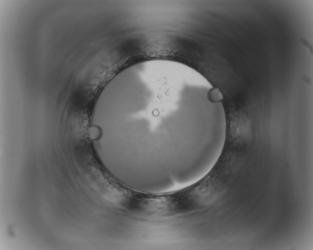 X0000103430411200809261735